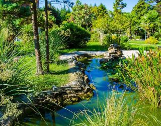 *Пансионат "Изумруд" ГУП "Медицинский центр"