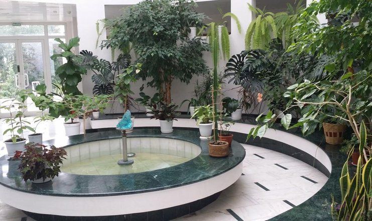 *Пансионат "Изумруд" ГУП "Медицинский центр"